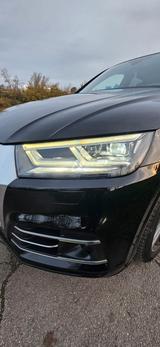 Audi Q5 50 TDI quattro sport | Vollausstattung | - Audi Q5: Vollausstattung