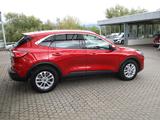 Ford Kuga Titanium X/ AHK/Pano/Matrix/HUD - Ford Kuga: Titanium X