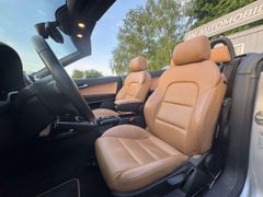 Fahrzeugabbildung Audi A3 Exclusive LEDER BRAUN BIXENON