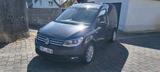 Volkswagen Caddy 2,0TDI 75kW Trendline BlueMotion Trend... - Volkswagen Caddy: Bluemotion