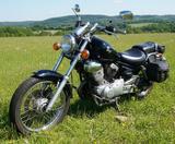 Yamaha XV 250 Virago - YAMAHA XV 250