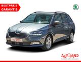 Skoda Fabia Combi 1.0 TSI Style Kamera PDC SmartLink - Skoda Fabia Gebrauchtwagen in Magdeburg