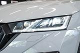 Skoda Octavia RS Lim.|AHK|LED|SONDERLACKIERUNG - Skoda Octavia: Limousine, RS