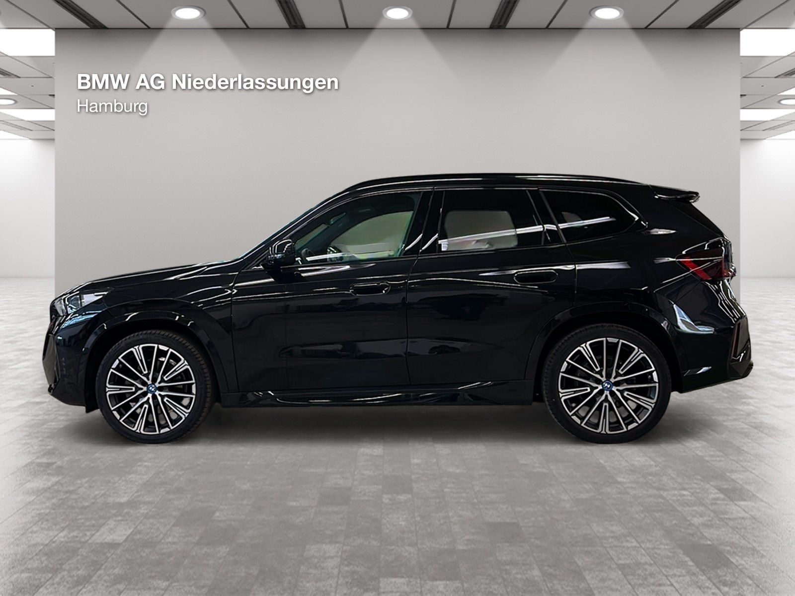 BMW iX1 xDrive30 M Sport Driv.Assist Harman K LED foto 2