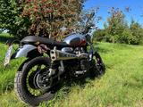 Triumph Scrambler 900 - Offers