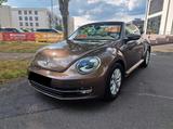 Volkswagen Beetle 2.0 TDI Cabrio DESIGN*DSG*LEDER*XENON*FUL - VW New Beetle von privat