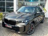 BMW X5 30d M SPORT PRO.SOFTCL.LUFTFEDER.PANO.AHK.22" - BMW X5: Grün