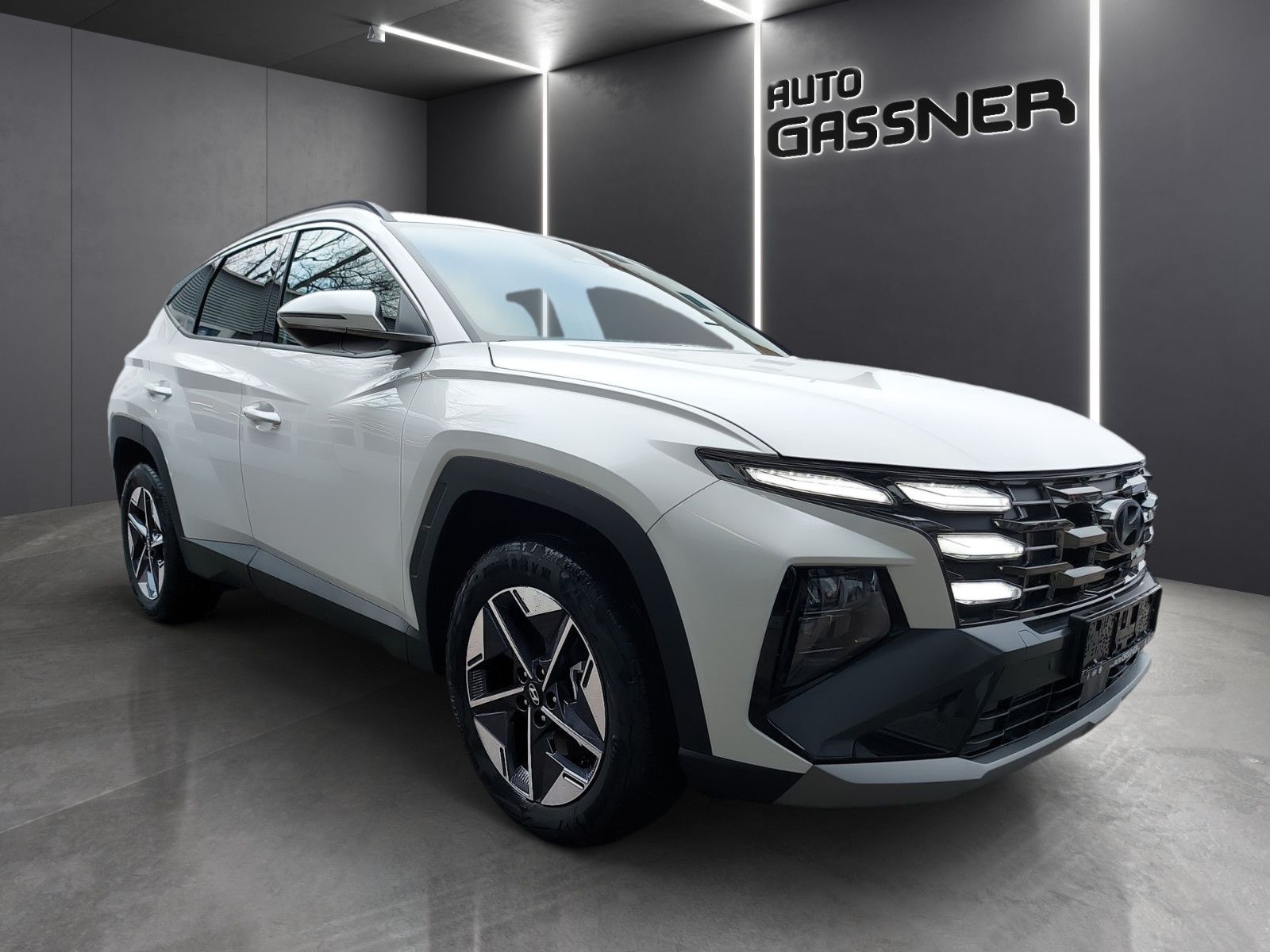 Fahrzeugabbildung Hyundai Tucson Hybrid 215 PS Trend 2WD Navi el. Heckkl.
