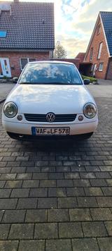 Volkswagen Lupo 1.4 44kW Basis Basis - weiße Volkswagen Lupo