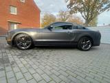 Ford Mustang GT500 - gebrauchte Ford Mustang aus dem Jahr 2010