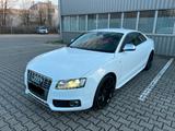 Audi S5 4,2 V8 Quattro/Carbon/19Zoll/Kamer... - gebrauchte Audi S5 aus dem Jahr 2009