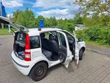 Fiat Panda II (169) 1.2L 8V (69 PS) 2012 DYNAMIC - Fiat Unfallwagen