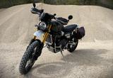 Triumph Scrambler 1200 XE | Matt Khaki Green |  - TRIUMPH SCRAMBLER