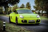Porsche Cayman S 987 3.4l  - Porsche: Grün