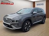 Hyundai Santa Fe SEVEN Prime 2.2 CRDI+STANDHZ. - Hyundai SANTA FE: Se