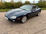 Jaguar XK8 Cabriolet / Zustand 2+ / HU neu - Jaguar XK8 aus 2001