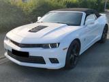 Chevrolet Dt. Modell Camaro Cabrio 6.2 V8 - Chevrolet Camaro: Cabrio