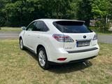 Lexus RX 450 450h Executive Line Executive Line - Lexus RX Series mit Benzin-Antrieb