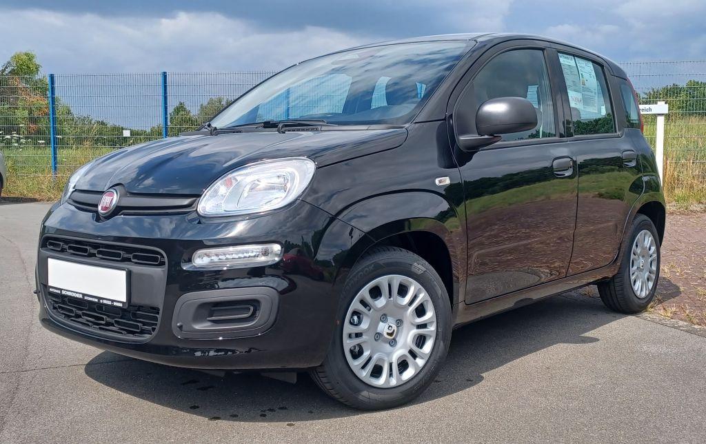 Fiat Panda ICON Hybrid 70PS MY25 TZ