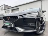 Cupra Leon SP 2.0 TDI DSG FACELIFT 185€ m. 20% Anzahlu - gebrauchte Cupra Leon mit Facelift