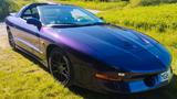 Pontiac Firebird Trans Am  - gebrauchte Pontiac Coupés