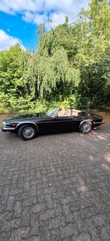 Jaguar JAGUAR XJSC V12 5,3 - Jaguar XJSC von privat