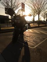 Honda VTR 1000 F | Gun Powder selten|TÜV 09/27| +110ps - HONDA PS