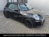 MINI Cooper Cabrio LEDER-LOUNGE+HEAD-UP+HARMAN-KARDON - MINI Cooper Cabrio mit Panoramadach