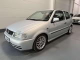 Volkswagen Polo GTI Limited Edition  Origianl GTI  TOP Zust - Volkswagen Polo aus 1999: GTI