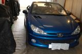 Peugeot 206 CC Platinum 110, TÜV neu, Klima, Leder,