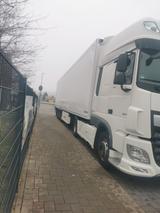 DAF 530 XF - Angebote