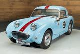 Austin Healey Sprite MK1 Frogeye Cabrio | 1959 - Austin Healey Gebrauchtwagen