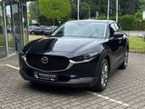 Mazda CX-30 2.0 M Hybrid Exclusive-Line DASO DESI - Mazda CX-30 aus 2023