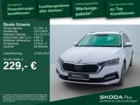 Skoda Octavia - Vorschau Bild 2