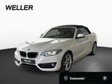 BMW 230i Cabrio Sport Line NaviProf H/K Adap LED DAB - BMW 2er Reihe aus 2019