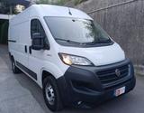 Fiat FIAT DUCATO 2.3 MULTIJET 180cv PC-TM Furgone - Fiat Ducato: 18