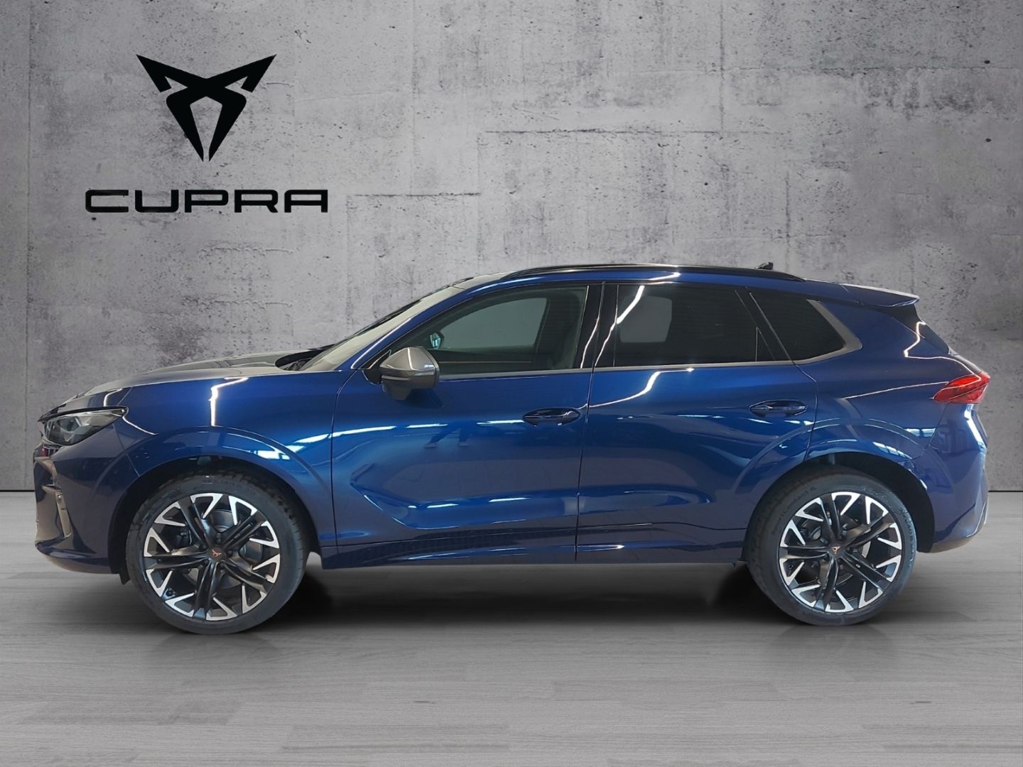 Cupra Terramar - Bild 4