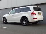Mercedes-Benz GL450 4Matic (sehr schön & gut gepflegt) - Mercedes-Benz GL 450 Gebrauchtwagen