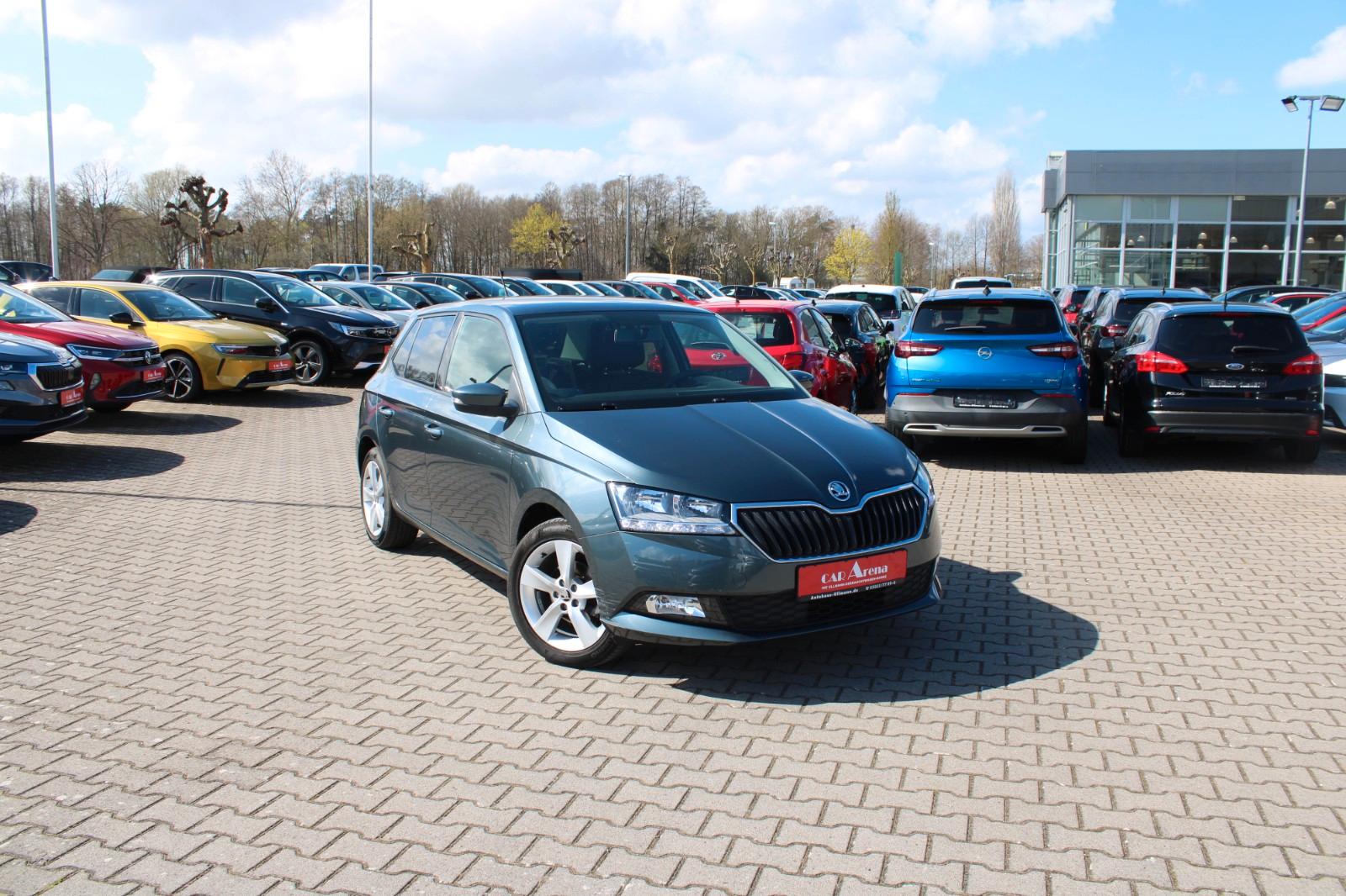 Skoda Fabia Cool Plus 1.0 1.Hand*SHZ*8.fach*