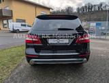 Mercedes-Benz ML 350/AMG-Paket/Keyless-Go/Standheizung - Mercedes-Benz ML 350: AMG