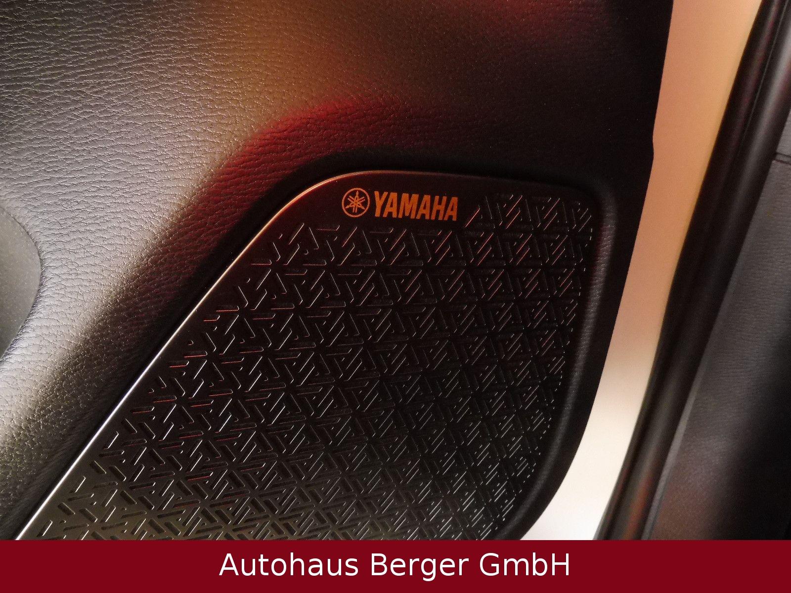 Mitsubishi Outlander 2.4 PHEV 4WD Top mit Luxury-Paket
