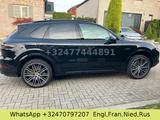 Porsche Cayenne E-Hybrid Platinum Edition, 360°, R22 - Porsche Cayenne: 3.2