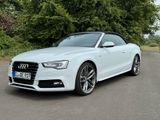 Audi A5 3.0 TDI S tronic quattro Cabriolet -