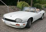 Jaguar XJS - Jaguar XJS mit Benzin-Antrieb: Cabrio