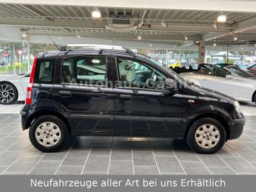 Fahrzeugabbildung Fiat Panda 1.2 Dynamic*2Hd*Klima*Servo*Zahnriemen-Neu