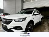 Opel Grandland Business Innovation Klima Navi Leder - Opel Gebrauchtwagen in Paderborn