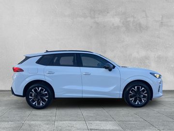 Cupra Terramar - 6