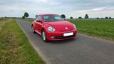 Volkswagen Beetle 1.6 TDI - - VW Beetle Diesel von 2012