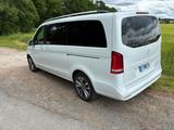 Mercedes-Benz V 250 d Aut. EDITION lang EDITION - gebrauchte Mercedes-Benz V 250 aus dem Jahr 2023