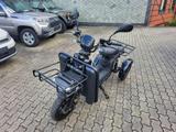 Andere ARI 145 eLastentrike+BEINSCHILD+45KMH+FAHRENAB15 - TRIKE AUTOMATIK